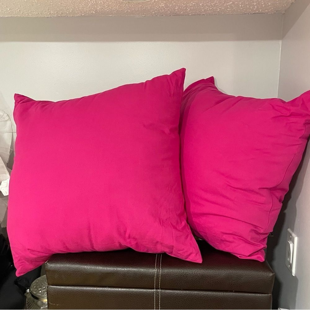 Set of Two Pink Decorative Pillows Large